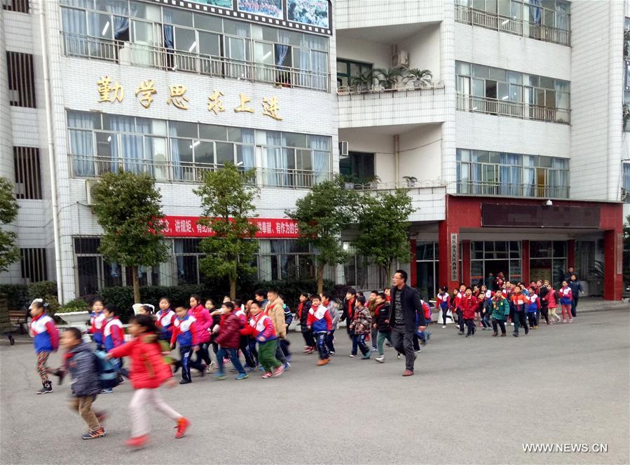 4.8-magnitude earthquake rocks SW China's Chongqing (1/2)