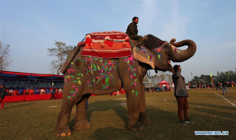 Elephant Festival marked in Nepal's Chitwan district (1/2)