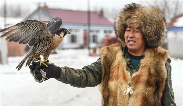 Manchu falconry culture turns to protection(1/9)