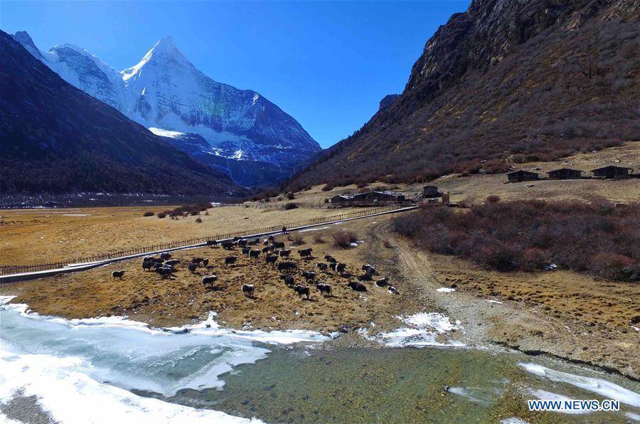 Photo taken on Dec. 31, 2016 shows the scenery of Yading Nature Reserve in Daocheng County of Tibetan Autonomous Prefecture of Garze, southwest China\'s Sichuan Province. (Xinhua/Liu Kun)