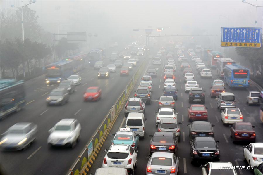 China issues red alert for fog (1/7)