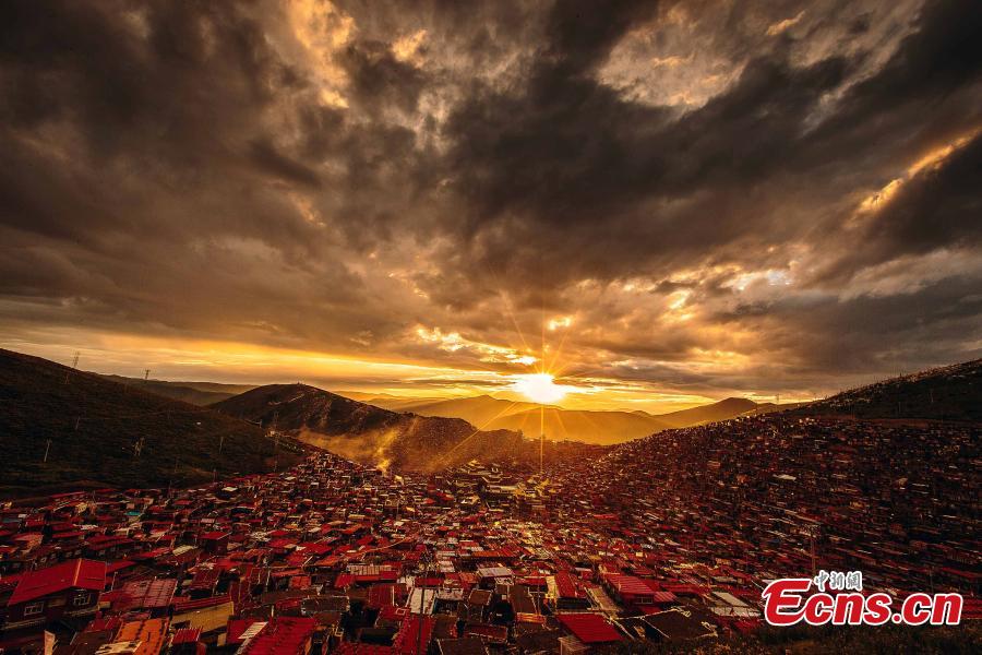 Photographer captures amazing moments in nature(1/8)