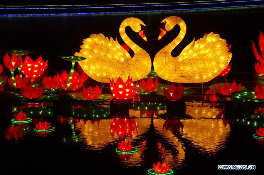 Festival lanterns lit up to greet upcoming Spring Festival in Henan (1/11)