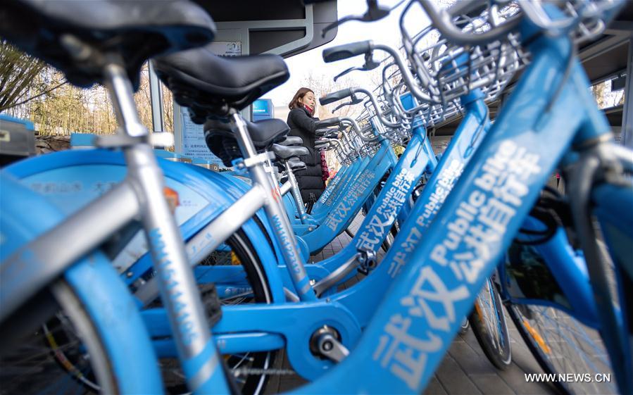 Over 50,000 bikes hired every day on average in Wuhan (1/5)
