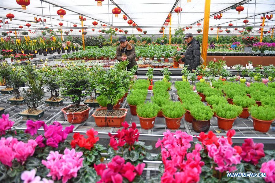 8th Winter Agriculture Expo and Trade Fair held in Changchun (1/7)