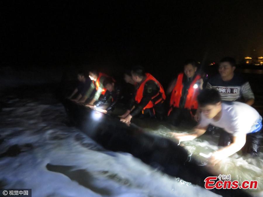 Stranded fin whale assisted back to sea in Shenzhen(1/3)
