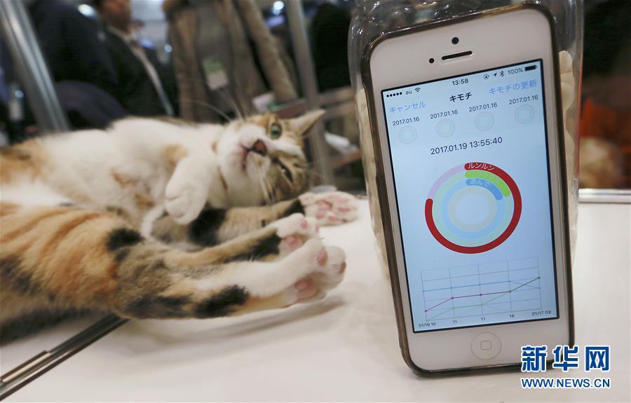 Pets try out wearable device(1/4)