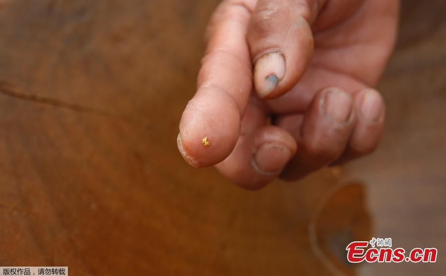 Thailand farmers battered by floods find a golden upside(1/4)