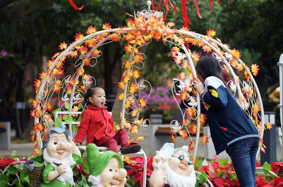 Hainan Int'l Tourism Island Bougainvillea Spectabilis Exhibition kicks off (1/4)