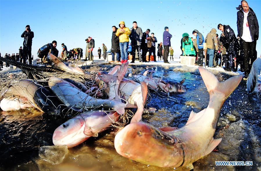Liaoning devotes great efforts to promote winter tourism (1/10)