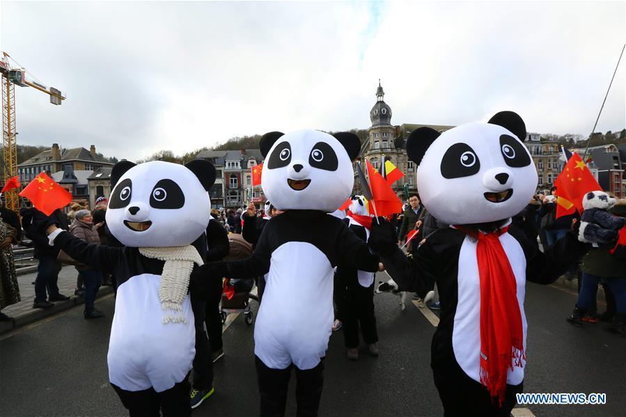 Chinese Lunar New Year celebrated in Belgium(1/10)