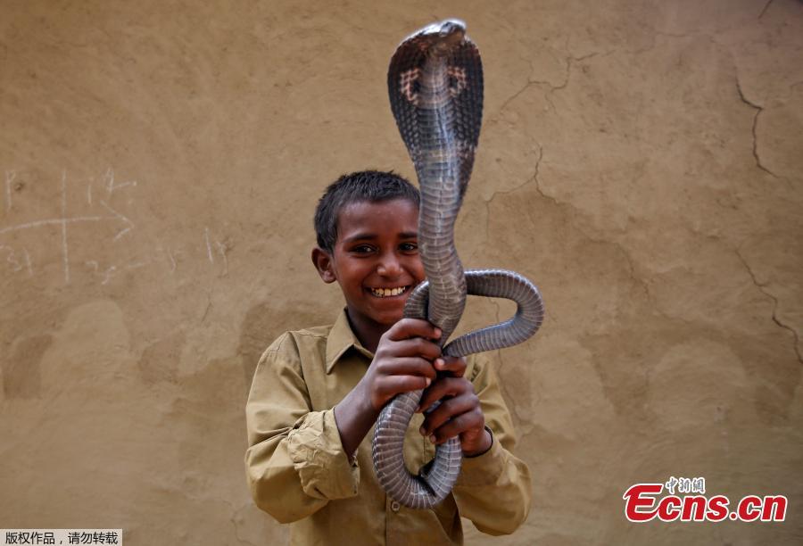 In photos: Snake charmers of Jogi Dera(1/11)