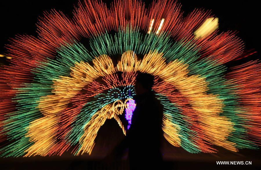 Dazzling peacock-shaped lantern in E China's Shandong(1/1)