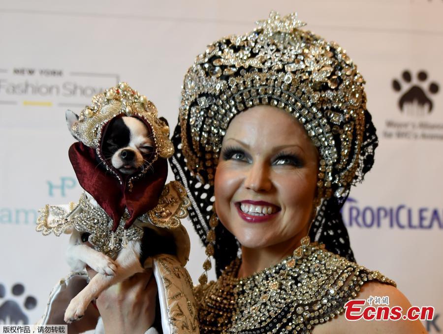 Furry fashionistas dress up for the NY Pet Fashion Show(1/5)