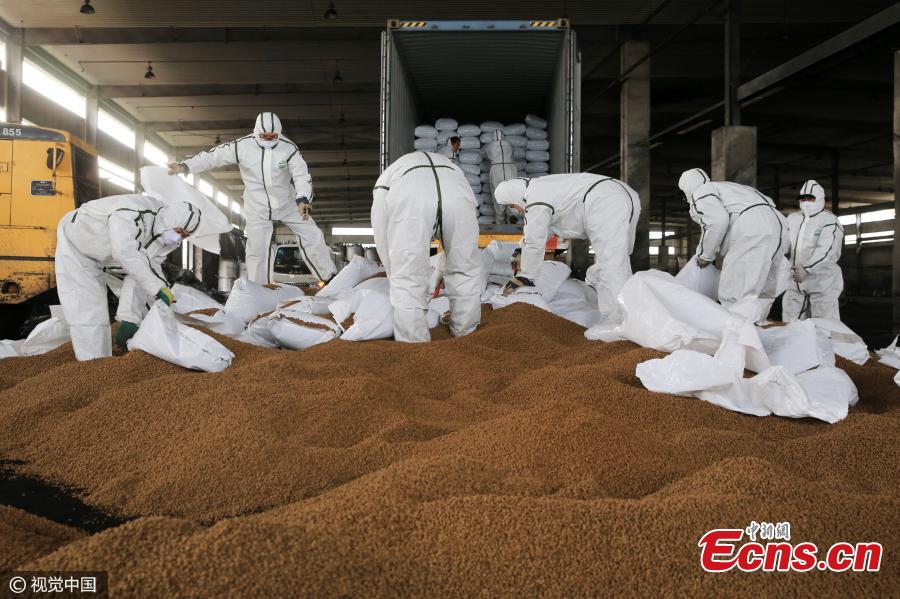 108 tons of Australian pet food destroyed in Tianjin(1/3)