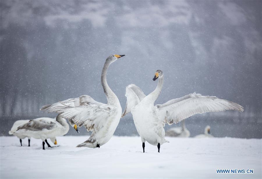 China renews blue alert for cold front in northern, western regions (1/10)