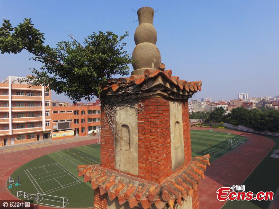 Tree endangers Qing Dynasty general's pagoda(1/3)