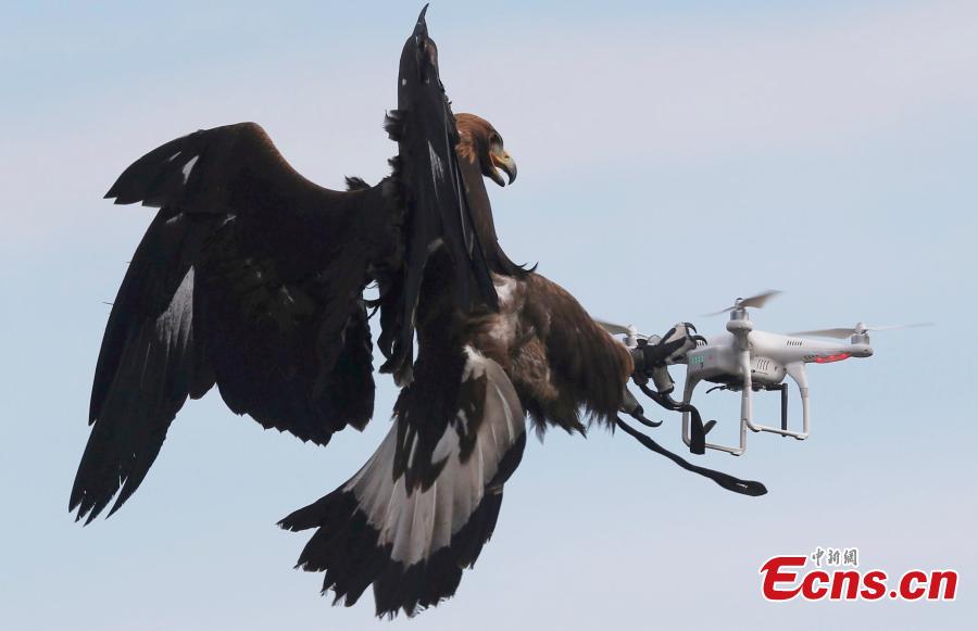 Many ways to catch illegal drone(1/9)
