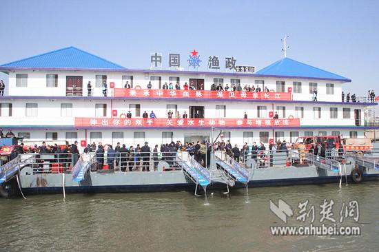 Artificially-bred Chinese sturgeons are released into the Yangtze River in Wuhan City, capital of Central China\'s Hubei Province, March 2, 2017. For the first time, Wuhan set free more than 1,000 Chinese sturgeons in the river, with the biggest measuring 1.2 meters long and weighing 100 kilograms. The release will help boost fish stocks in the Yangtze, China\'s longest river. A species 140 million years old, the Chinese sturgeon is the oldest kind of fish in the Yangtze and one of the oldest vertebrates in the world. Nicknamed \
