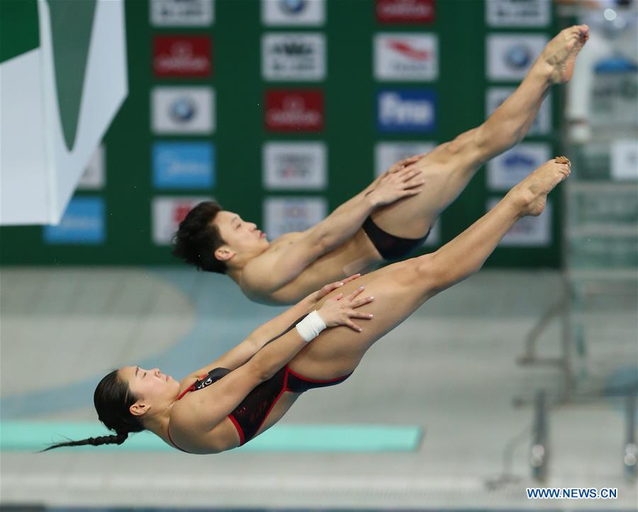 Highlights of FINA Diving World Series 2017 in Beijing(1/9)