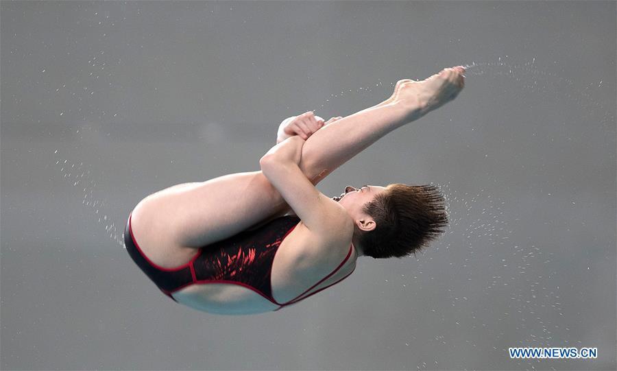 Highlights of FINA Diving World Series 2017 (1/23)