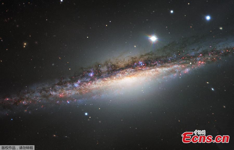 New images of spiral galaxy NGC 1055 released(1/2)