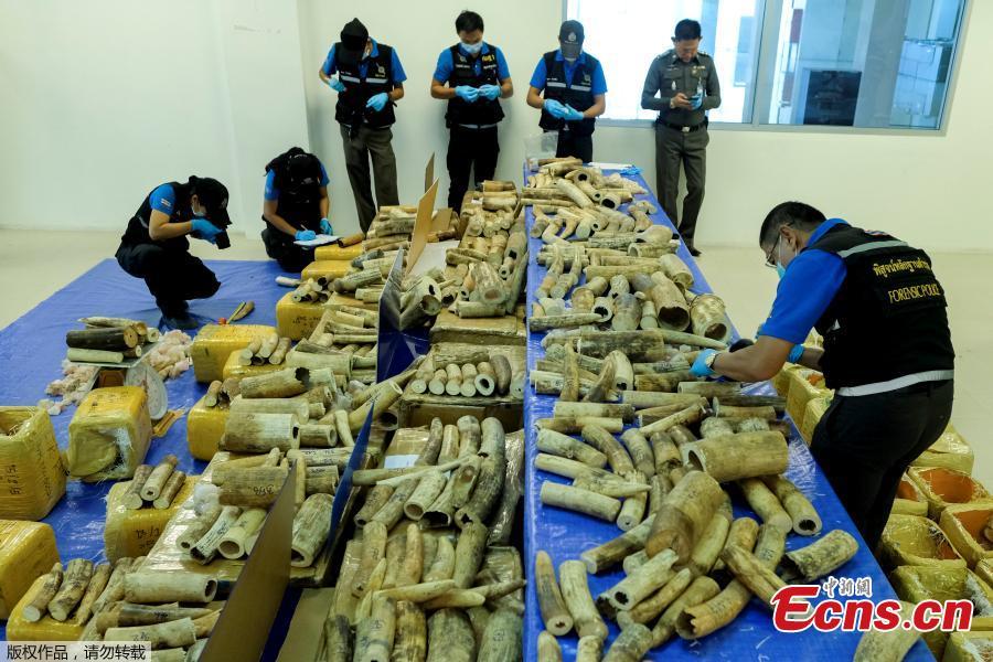 Thailand seizes 300 kg ivory from Malawi(1/6)