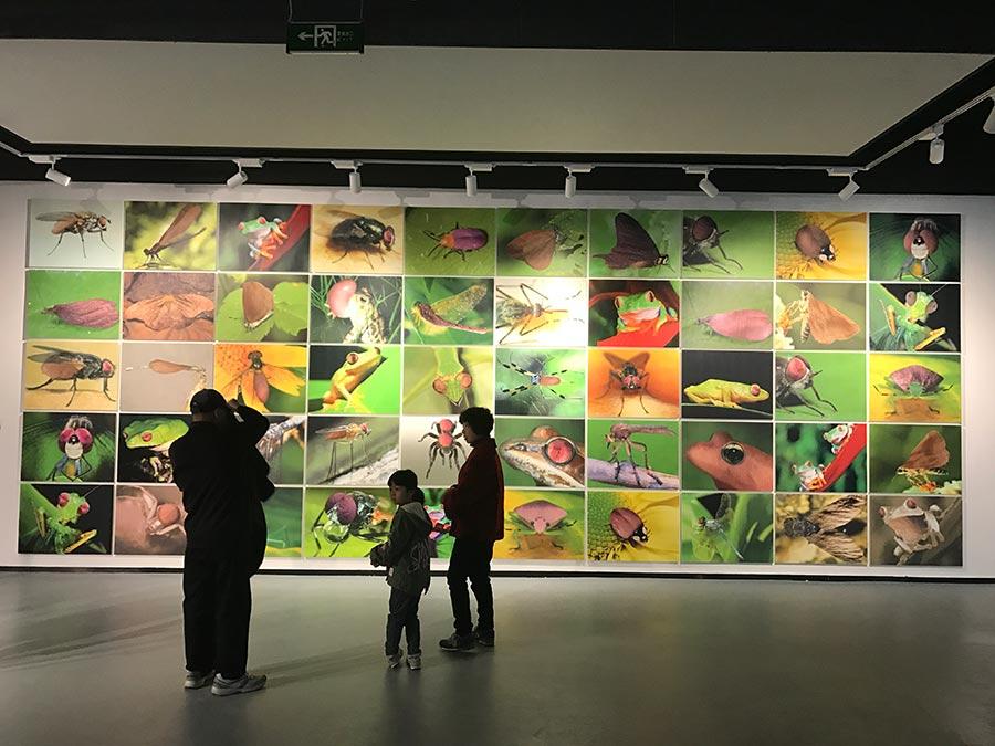 Nanjing looks for curators for 2018 art biennial (1/5)