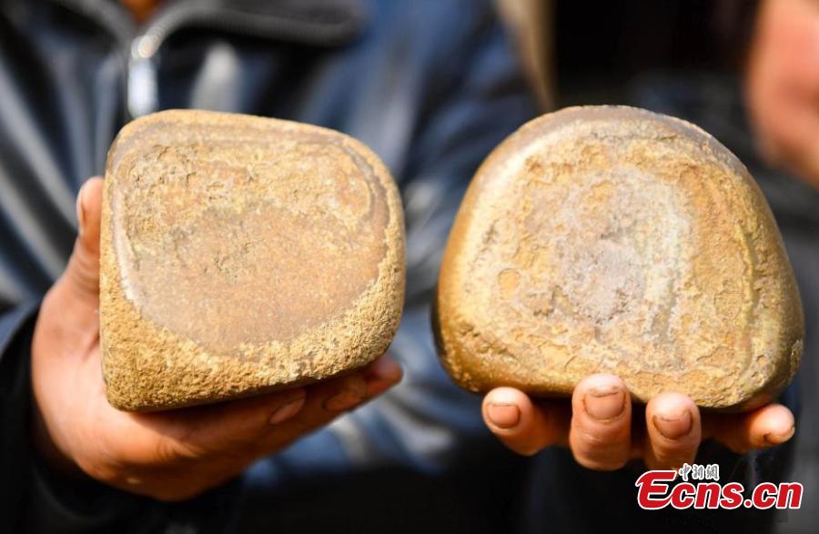 Chinese medicinal stones found in stomach of dead horse(1/3)