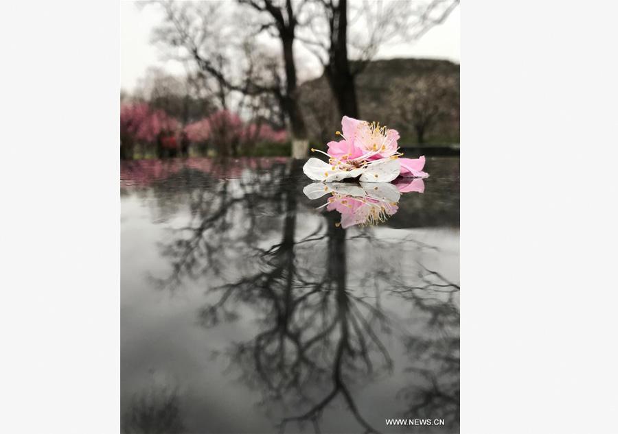 Cold front brings rainfall to Beijing(1/4)