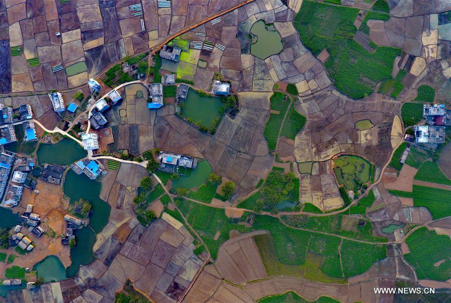 Farmland scenery in Nanning, south China(1/4)