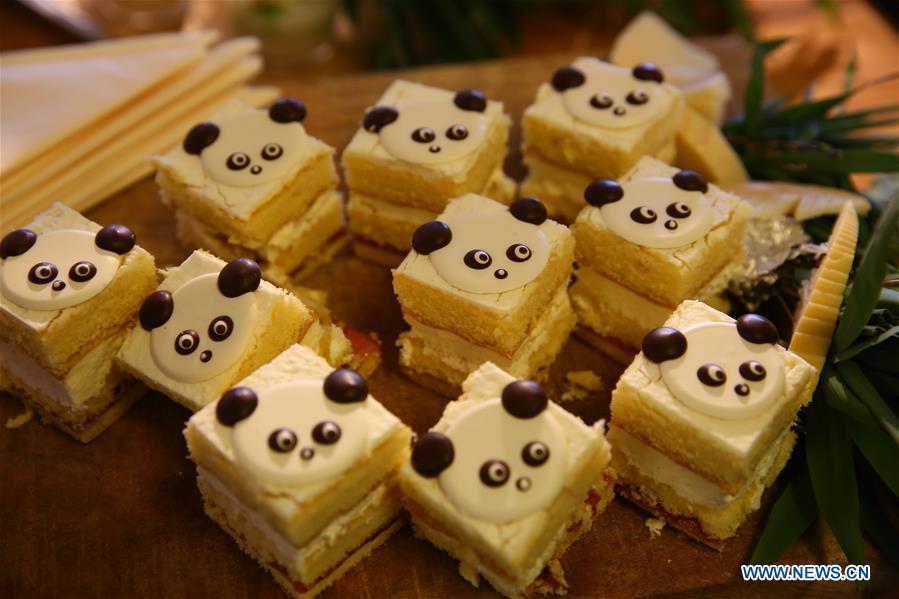 Giant pandas Xing Ya and Wu Wen to arrive in Netherlands(1/10)
