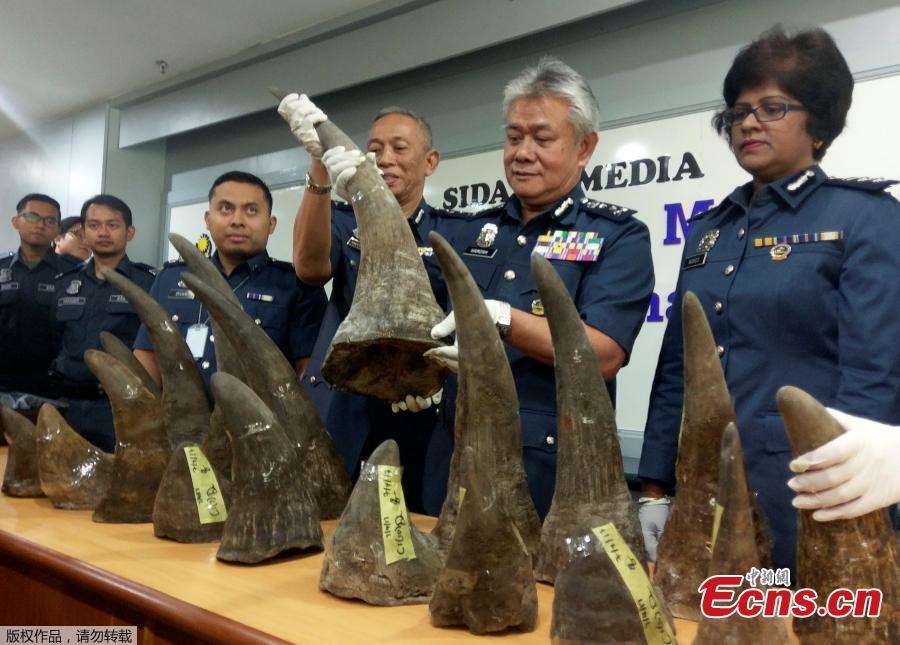 Malaysia seizes 18 rhino horns from Mozambique(1/3)