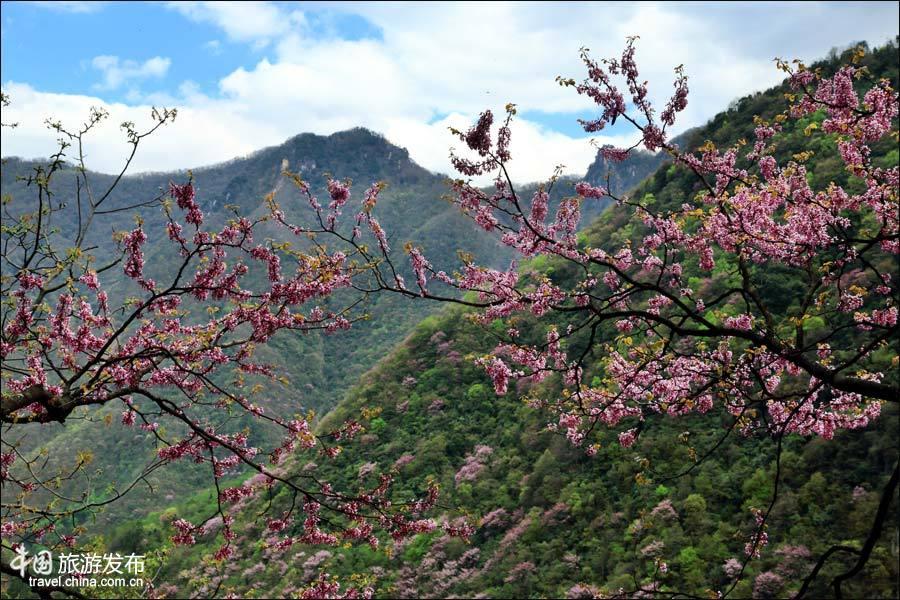 Spring scenery of Tangjiahe National Nature Reserve(1/6)