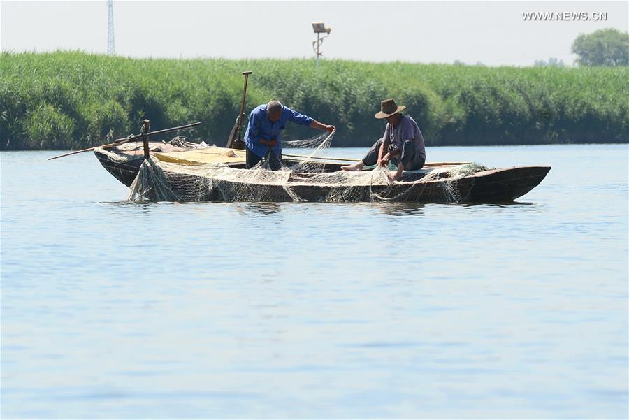 Scenery of Baiyangdian in Xiongan New Area(1/9)