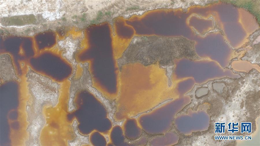 Sewage pits to be cleaned up in North China county (1/2)