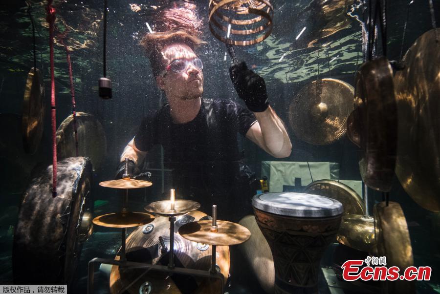 Musicians in aquariums make sounds in a silent world(1/7)
