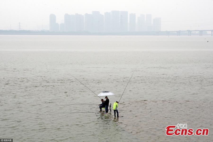 Illegal fishing in Qiantang River(1/3)