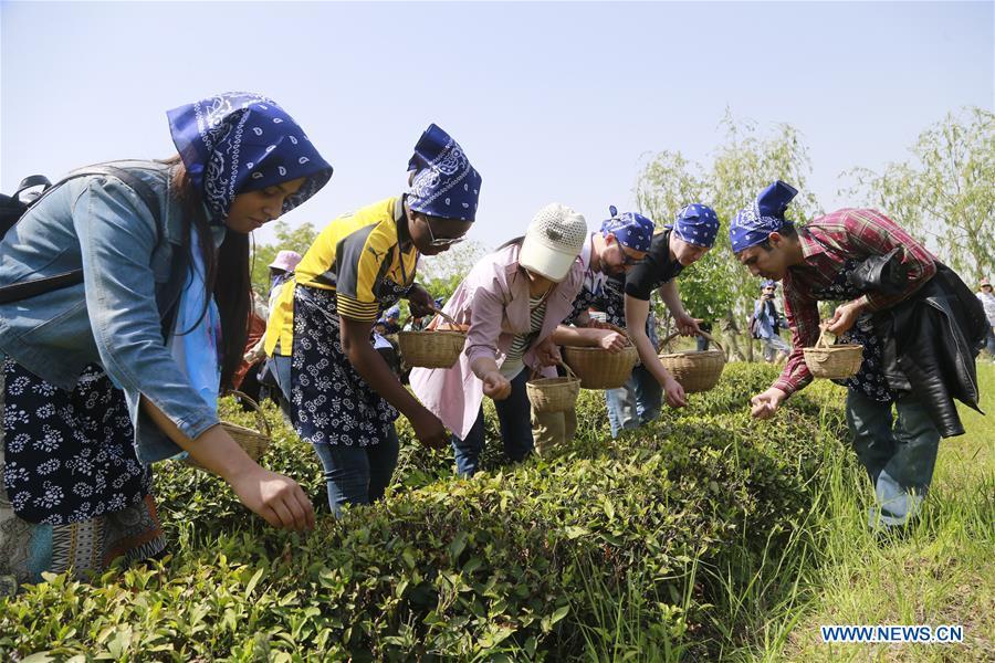 Foreign students experience Chinese tea culture(1/3)
