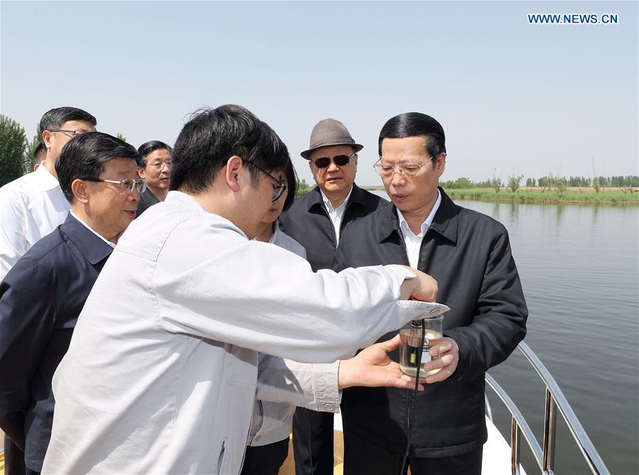 Call for tighter property control in Xiongan(1/4)