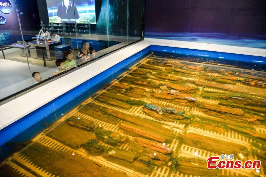 Sunken ship in the final stage of 3D reconstruction(1/8)