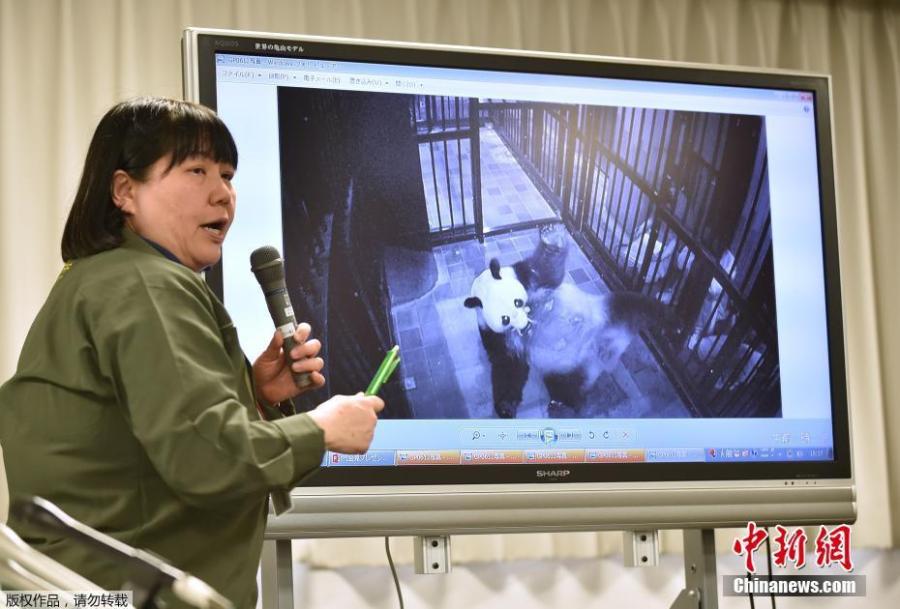 Giant panda gives birth to cub in Japan's Ueno Zoo(1/7)