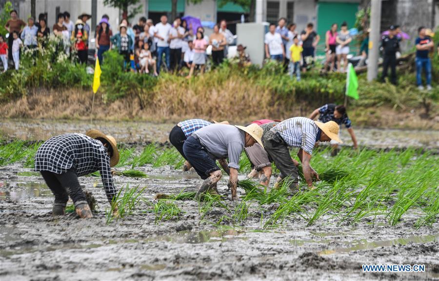 Farming skills competition held in E China (1/11)