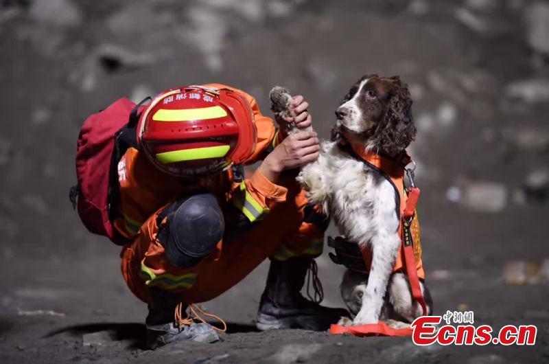 Dogs help search for missing in massive landslide(1/9)
