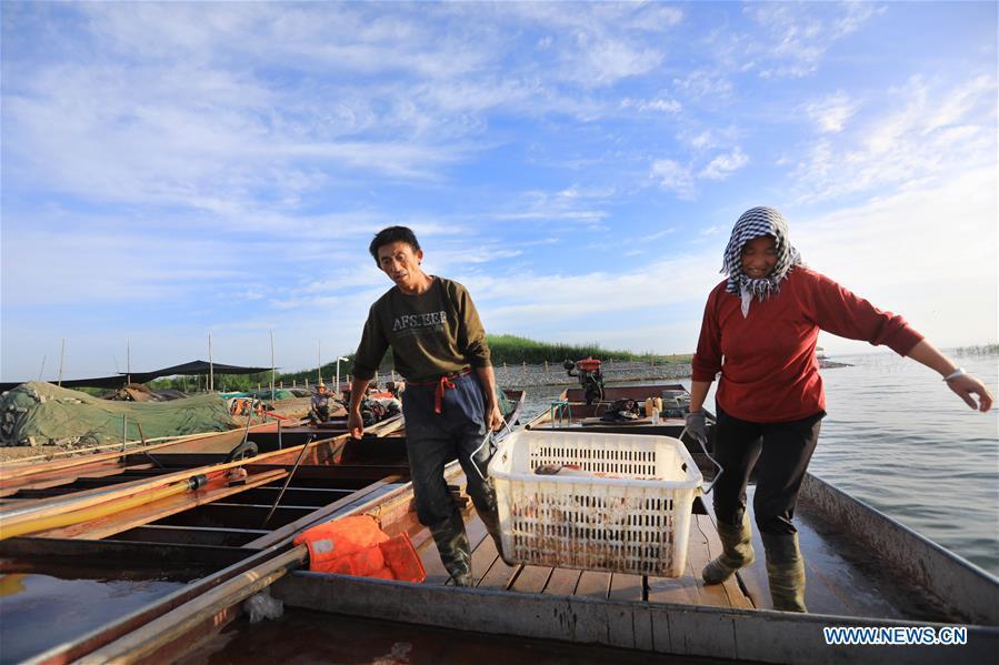Fishermen work at wharf in Xinjiang(1/4)
