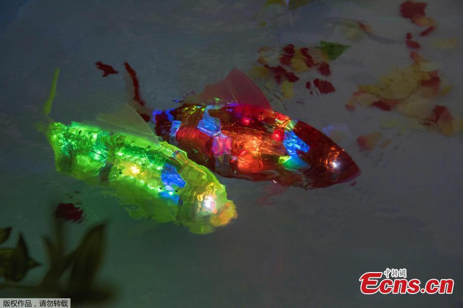 AI-based robot fish shown at expo in Japan (1/2)