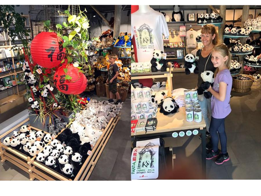 Berlin Zoo to hold opening ceremony of Panda Garden on July 5(1/7)