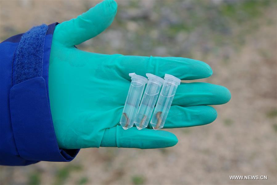 Scientists conduct scientific expedition to Qinghai-Tibet Plateau(1/6)