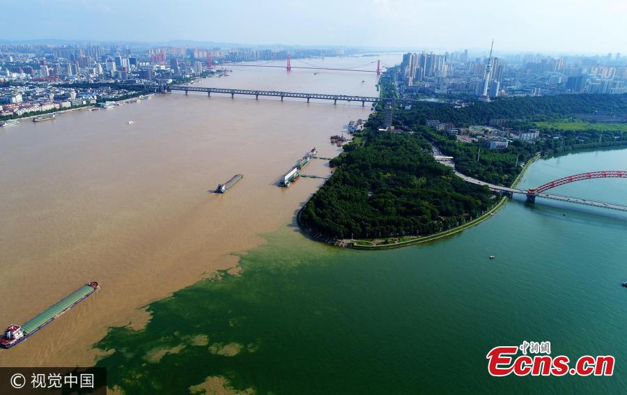 Flood peak hits Wuhan city(1/3)