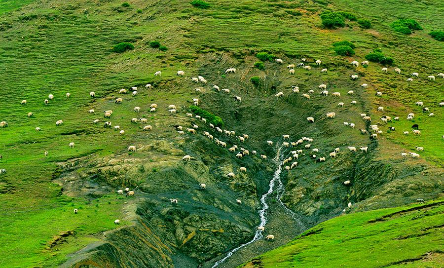 Taking the high road in Tibet(1/7)